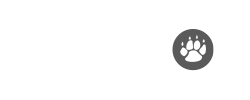 logo-QT老虎機